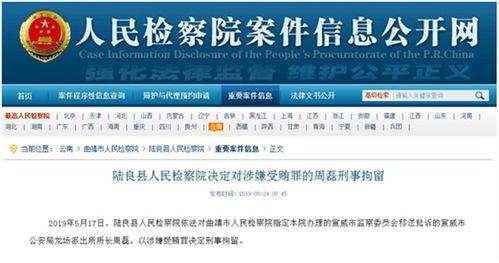 最新案件爆料信息,最新案件内幕曝光，真相令人震惊！